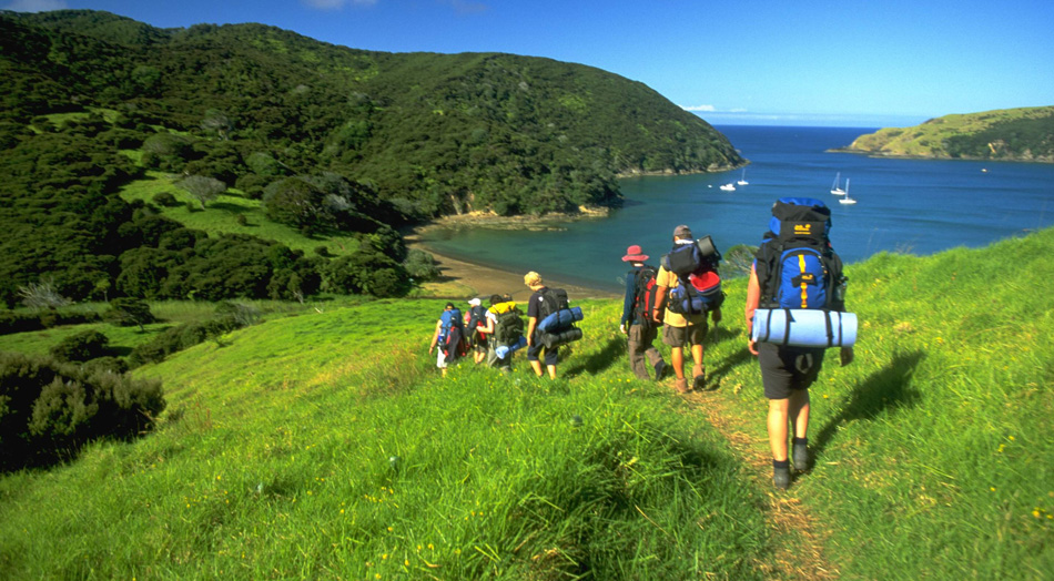 Adventure World awaits you on your tour of New Zealand